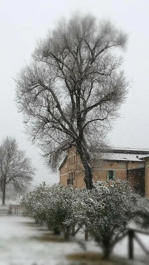 Agriturismo Le Giarine Fogliano Redipúglia